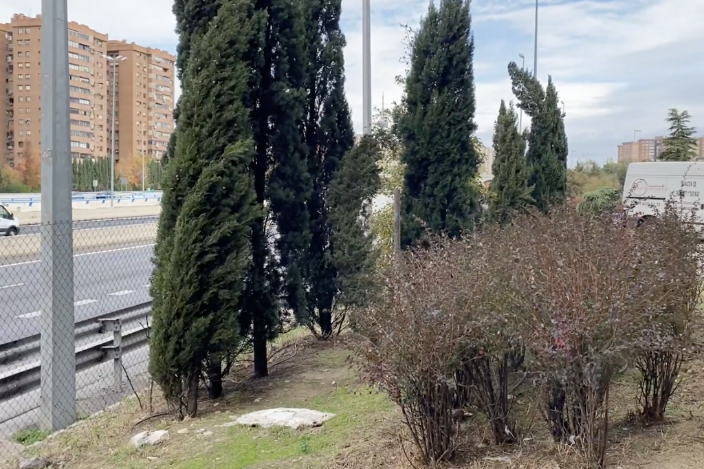 Solicitud De Pantallas Acústicas  Asociación Vecinal Doña Carlota-Numancia