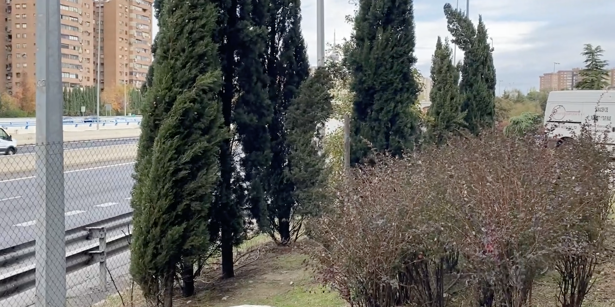 Solicitud De Pantallas Acústicas Asociación Vecinal Doña Carlota-Numancia